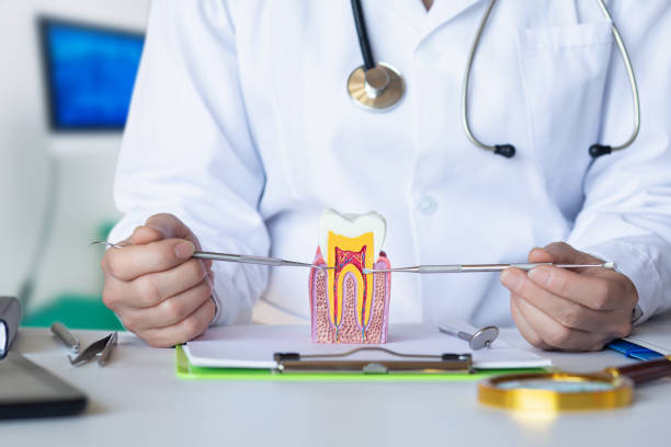 Best Emergency Treatment for Oral Infections in Gloverville, SC